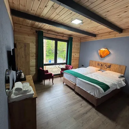 Navi Appart hôtel Çamlıhemşin
